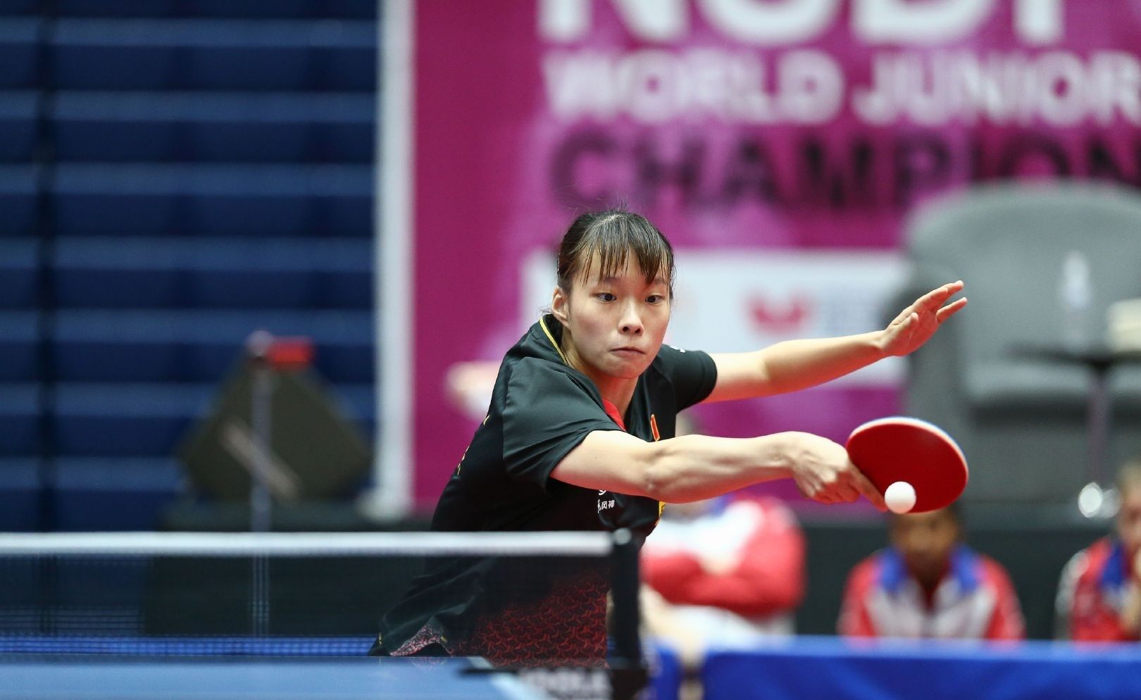 双线闪耀 双线闪耀