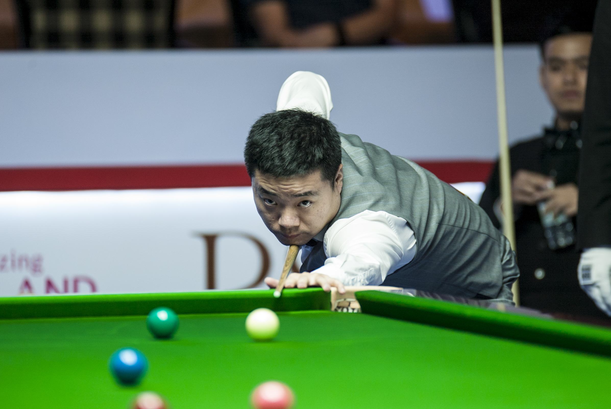 年轻选手树 年轻选手树