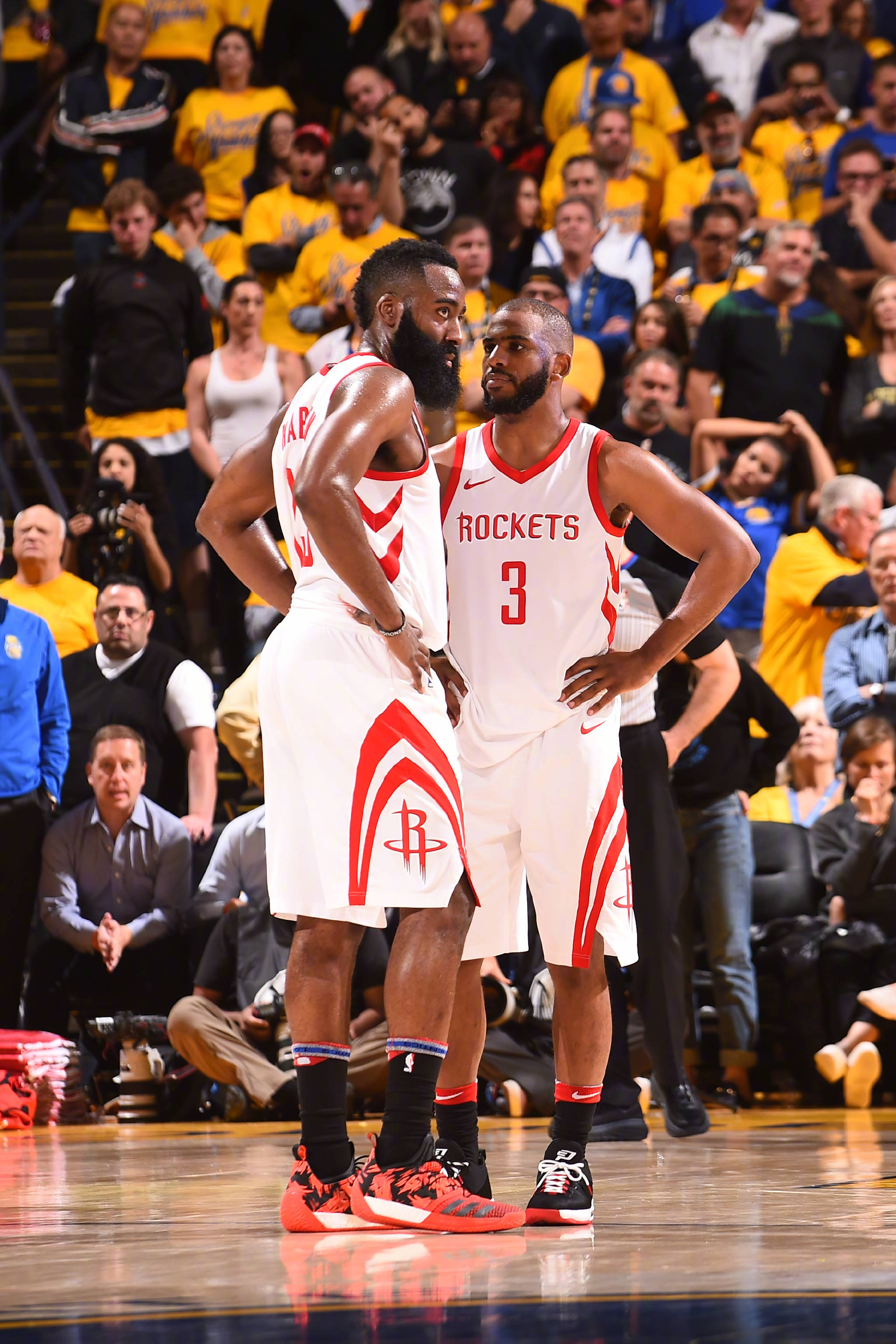 生存小队 生存小队